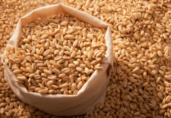 Barlie Millets